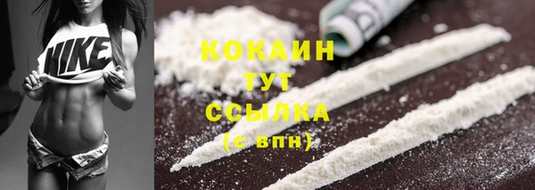 стаф Абаза