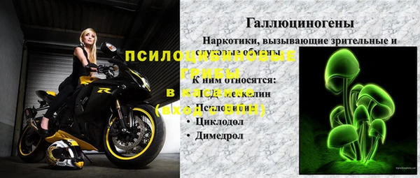крисы Пестово